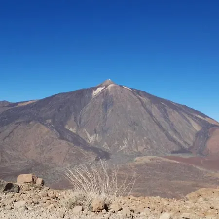 Estudio Brillante, Confortable Y Agradable 拉克鲁斯